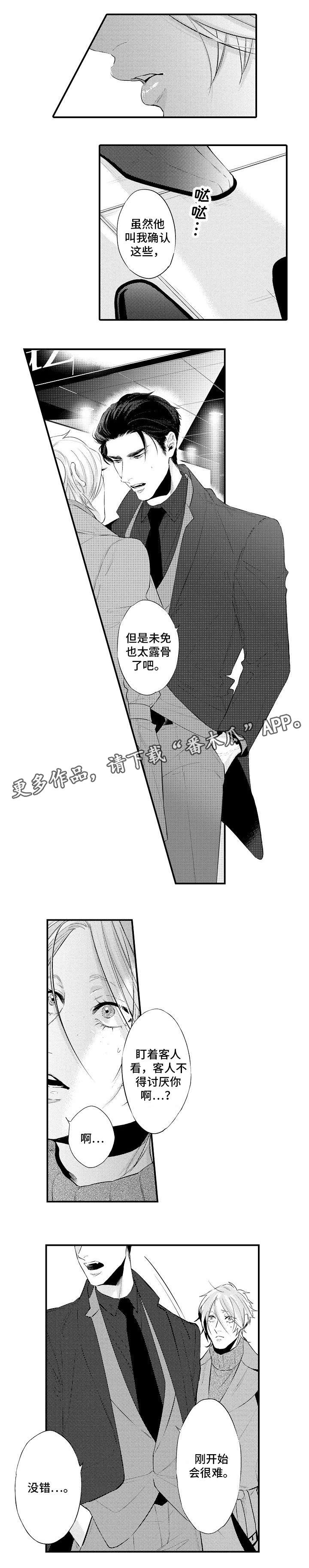 第15章：观察0