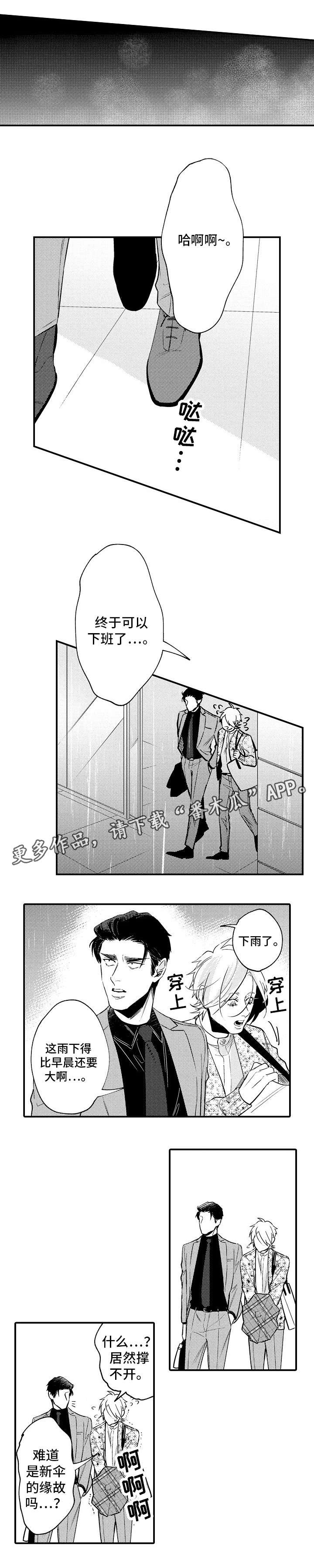 第17章：自信5