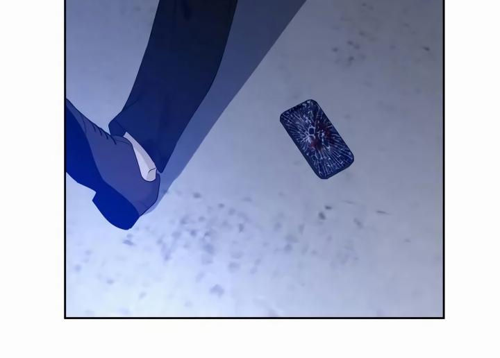 第2章：袭击者11