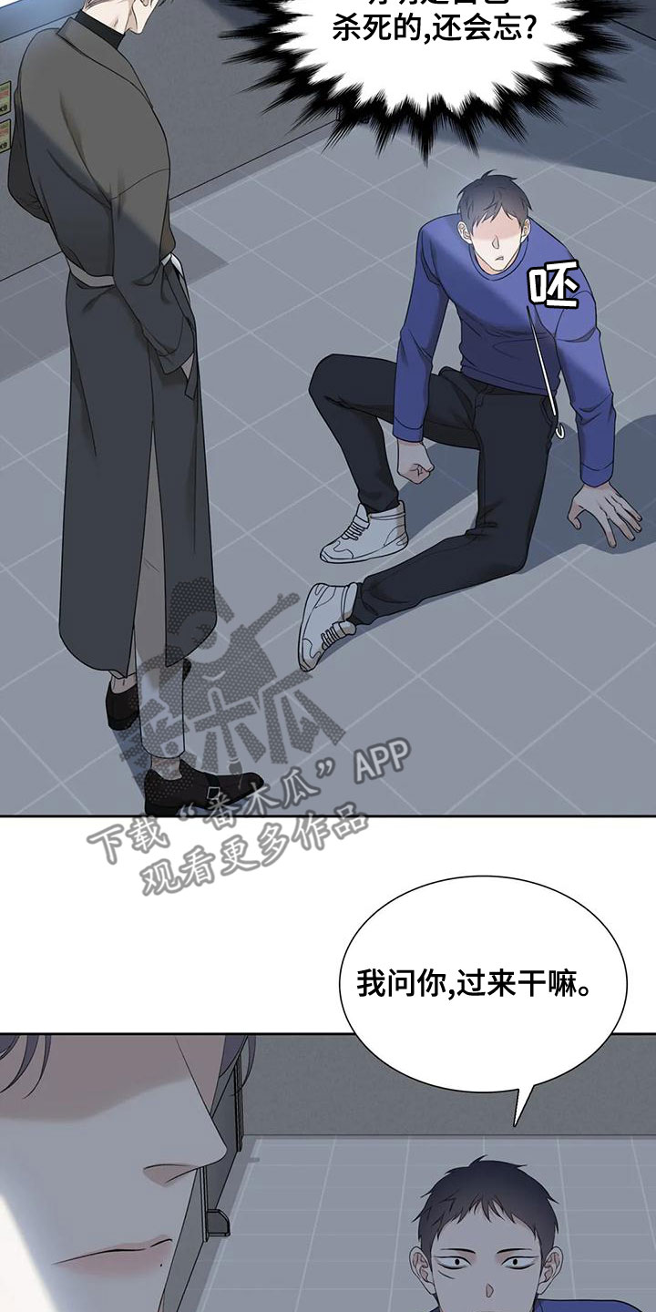 第43章：鳄鱼7