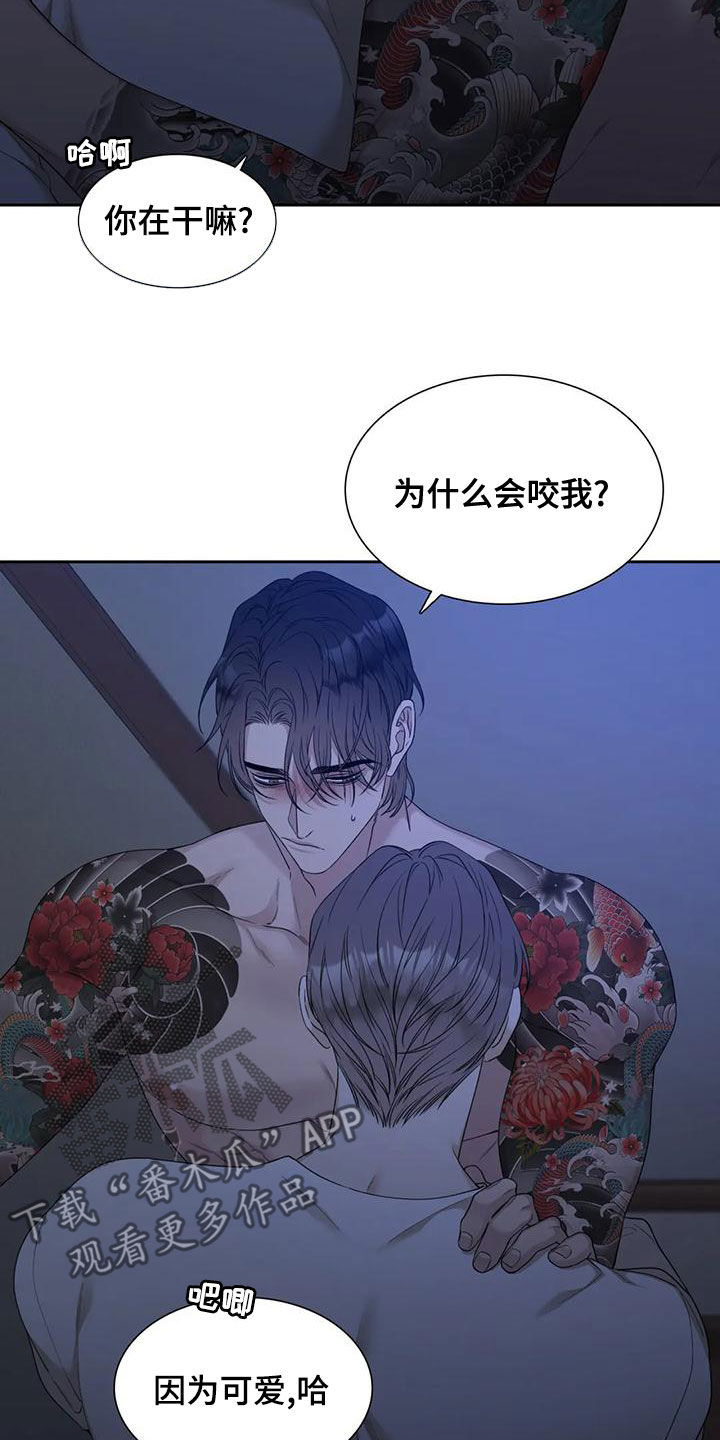 第33章：好期待5