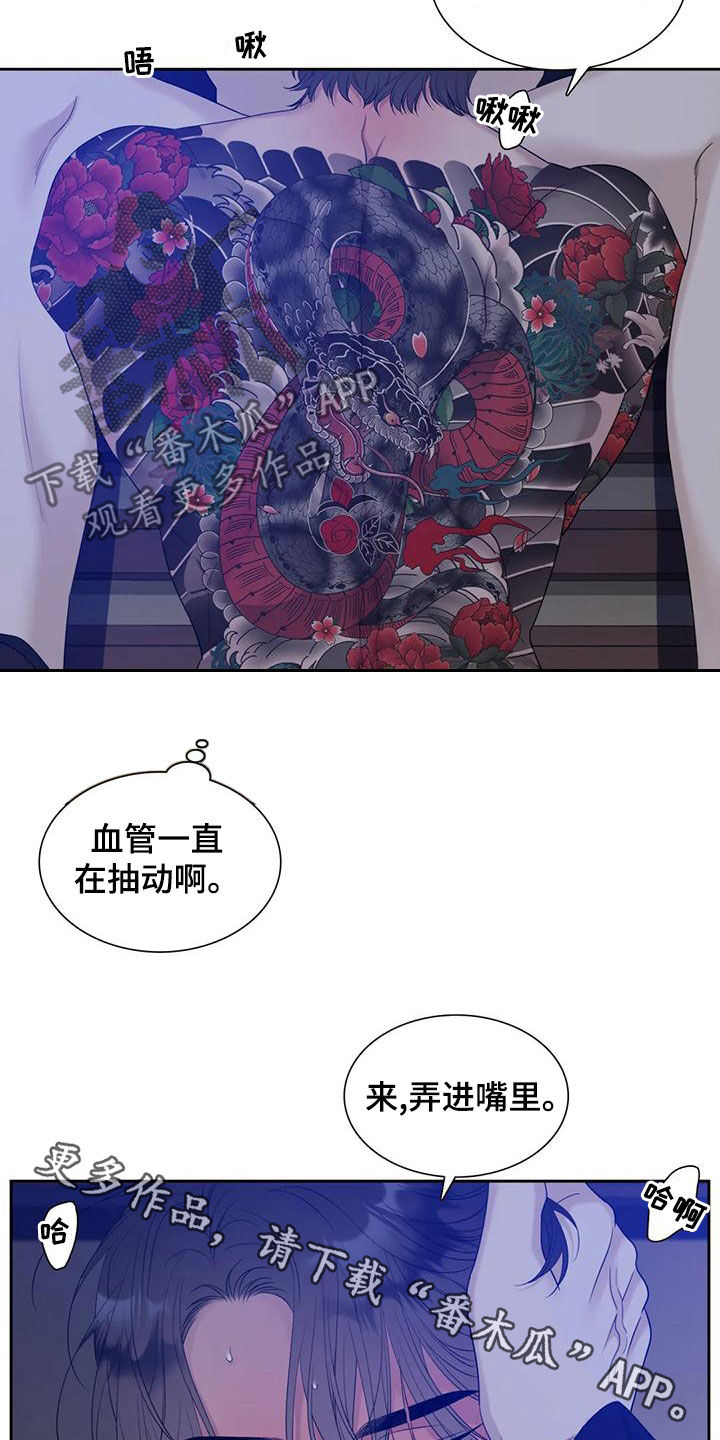 第49章：可爱的家伙15
