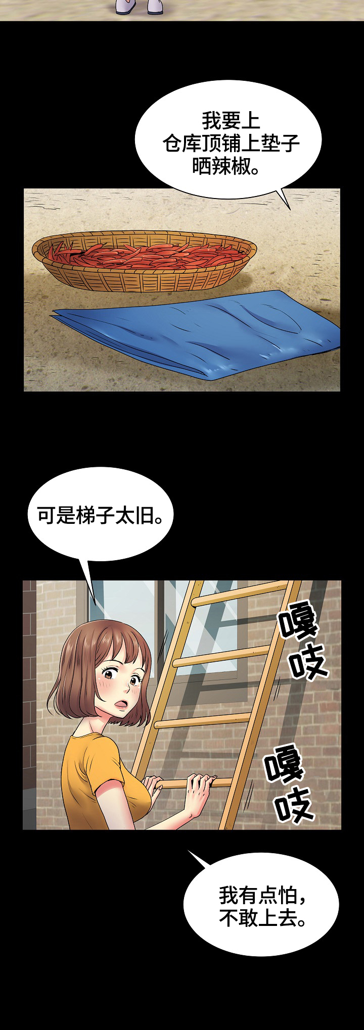 第15章：扶梯子7