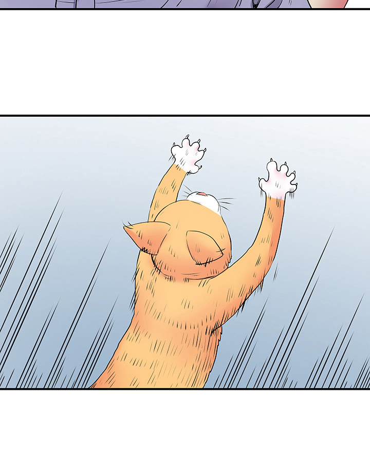 第27章：意外11