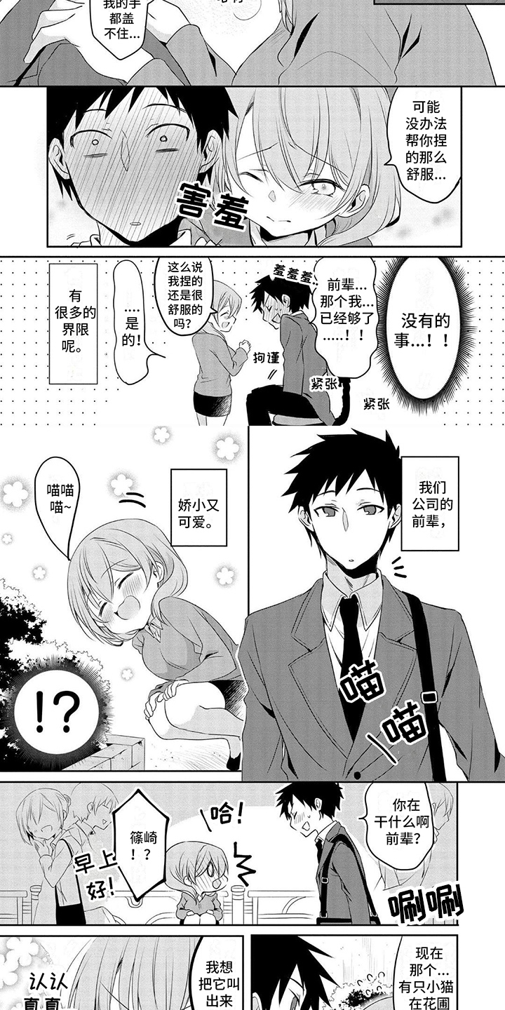 第2章：猫咪1