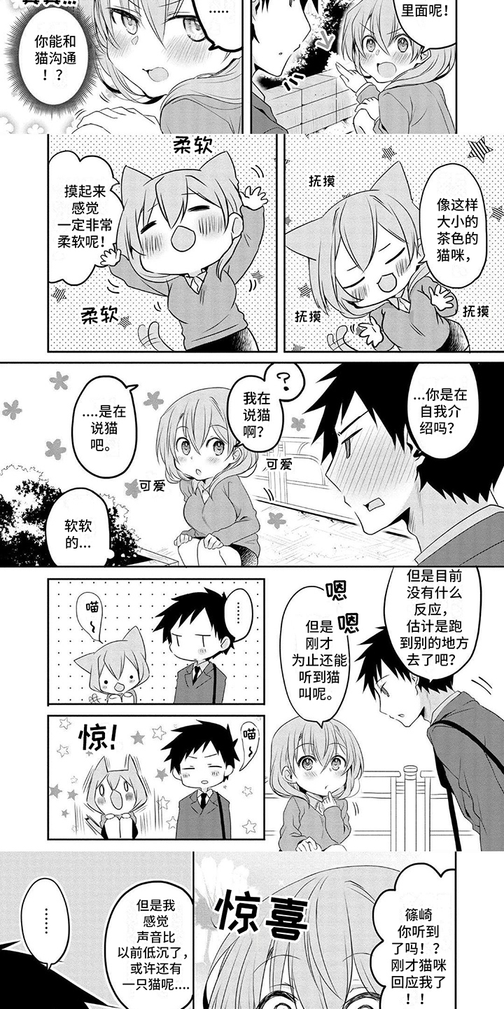 第2章：猫咪2