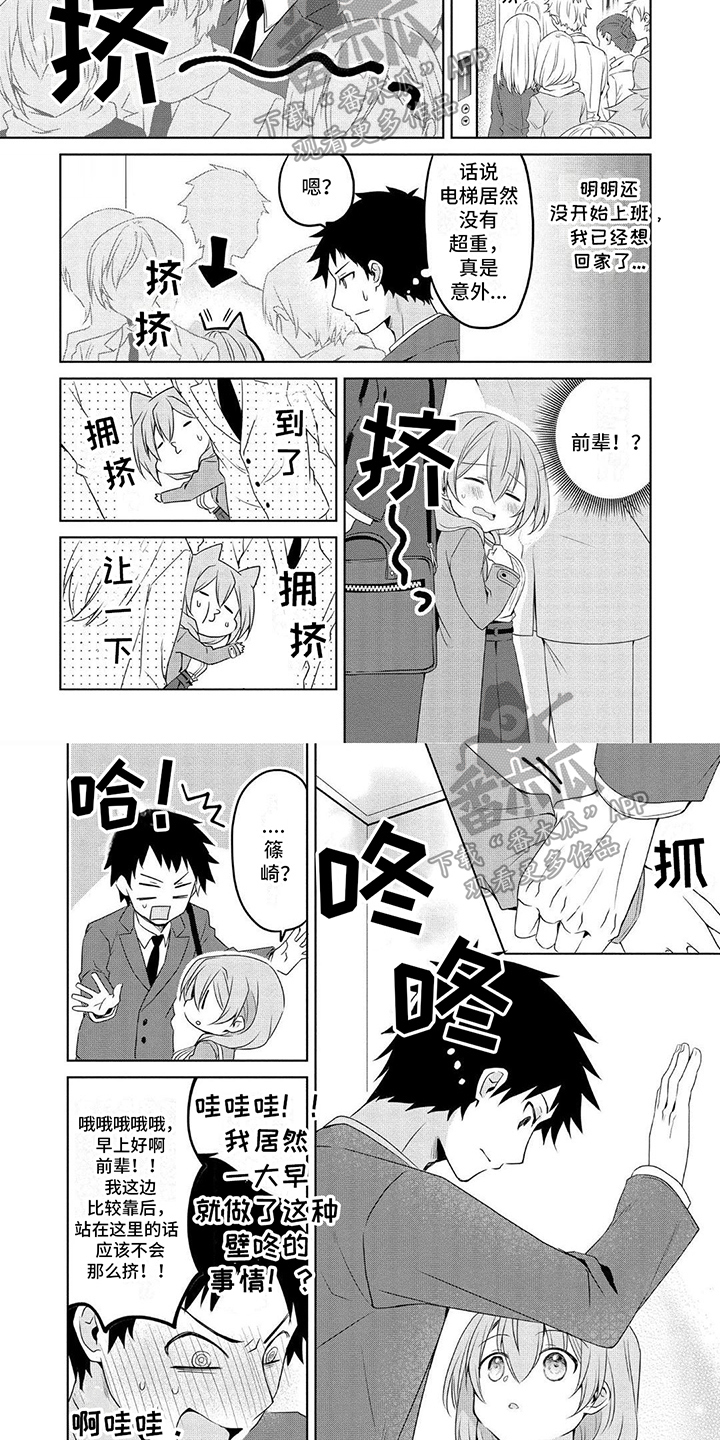 第12章：意见3