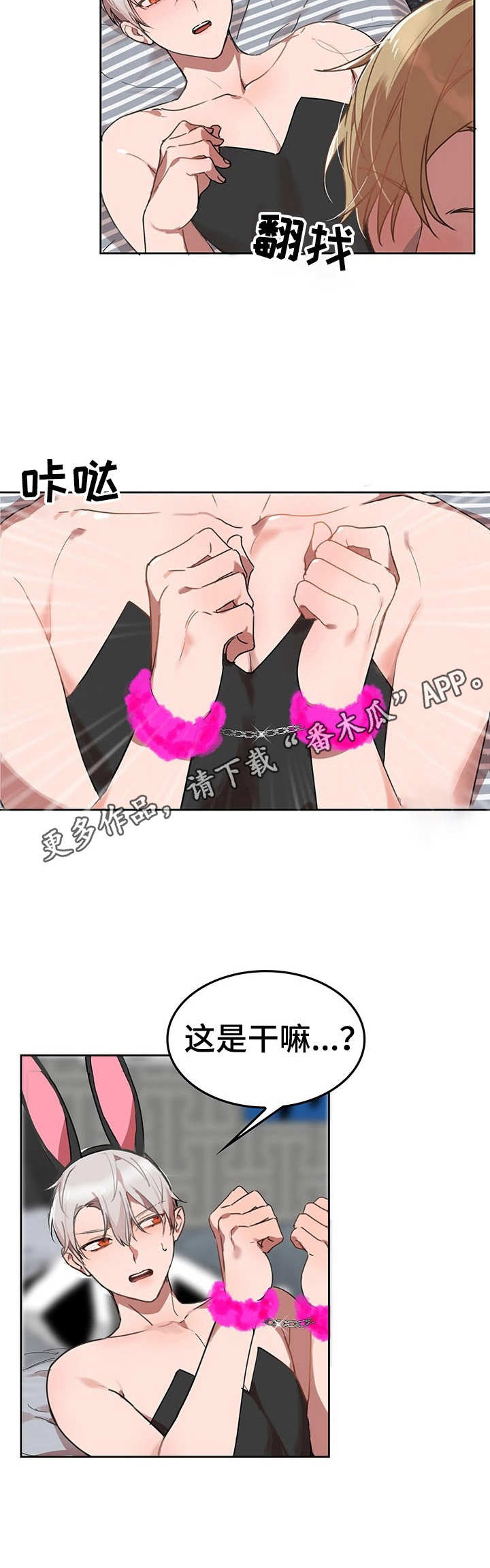 第6章：我的小兔兔：找找看7