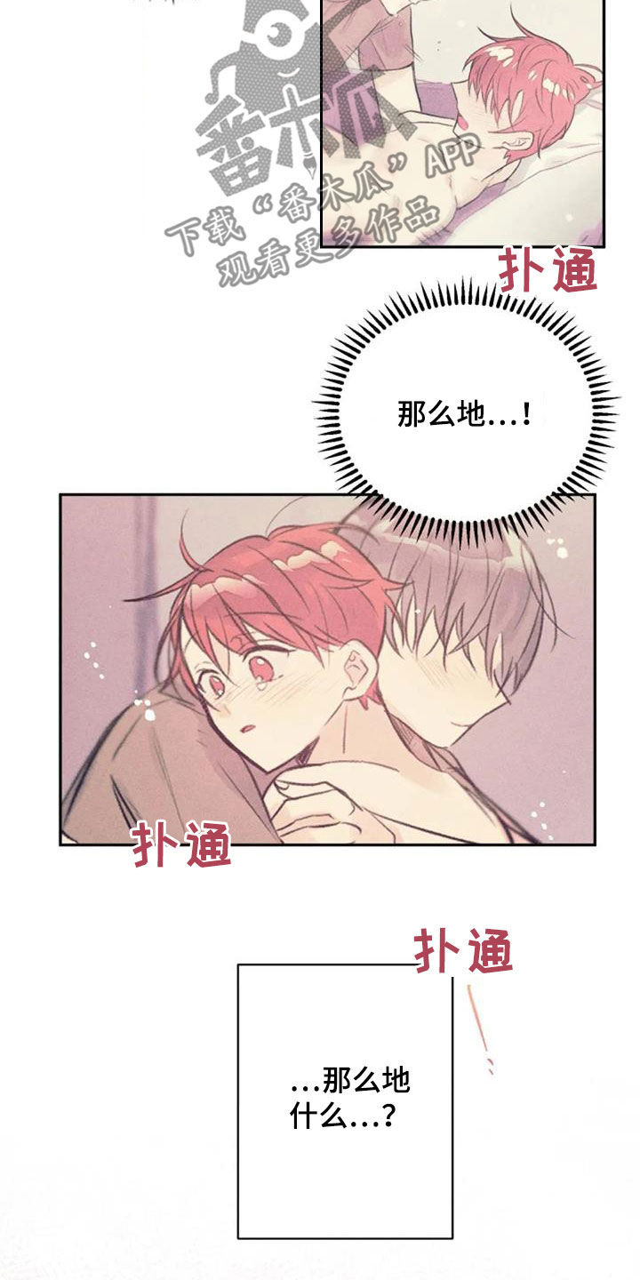 第45章：花语13