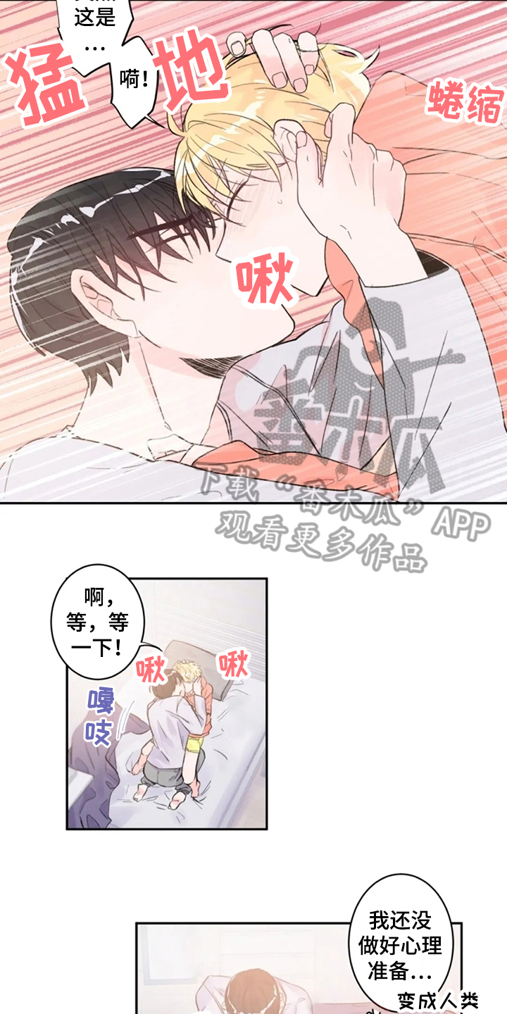 第11章：实感2