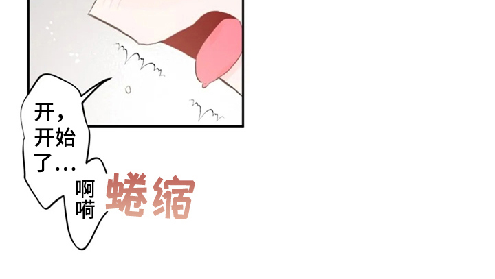 第26章：体验12