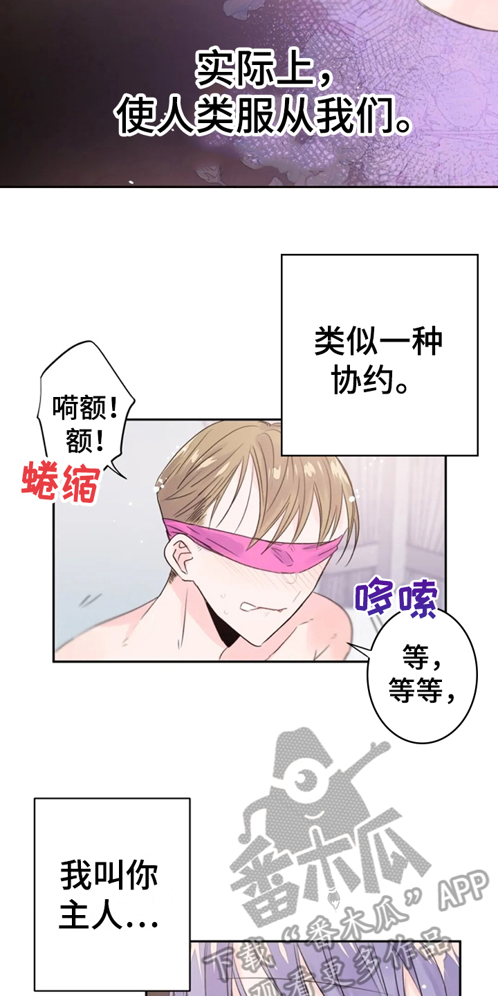 第28章：还不够1