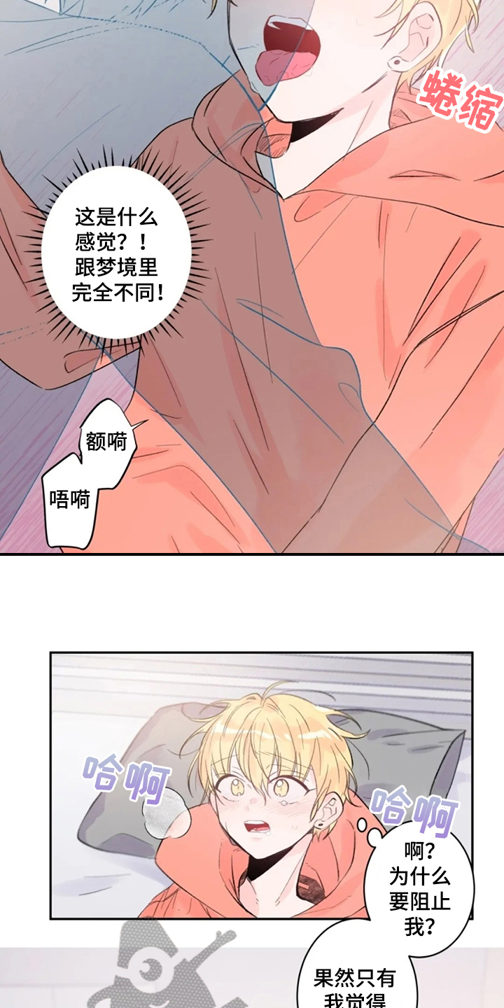 第11章：实感4