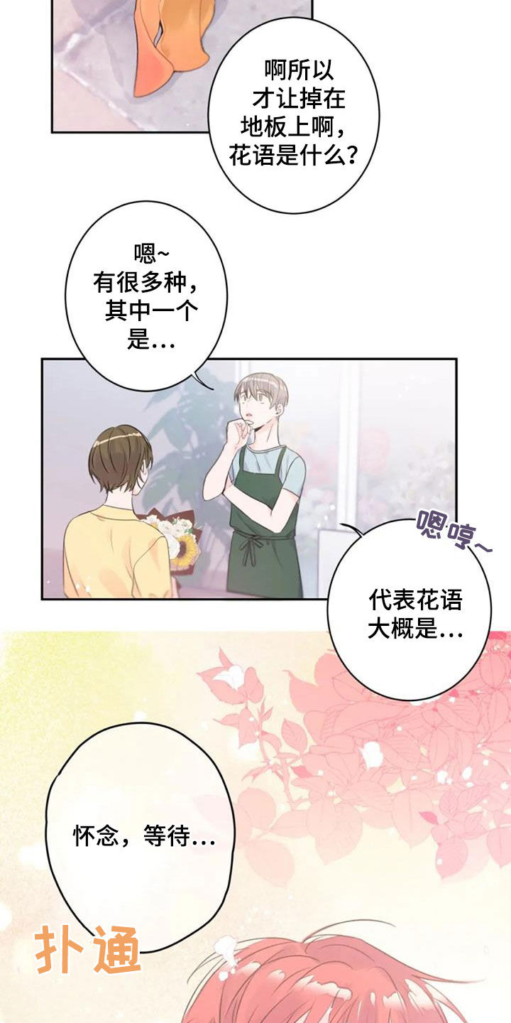 第45章：花语7