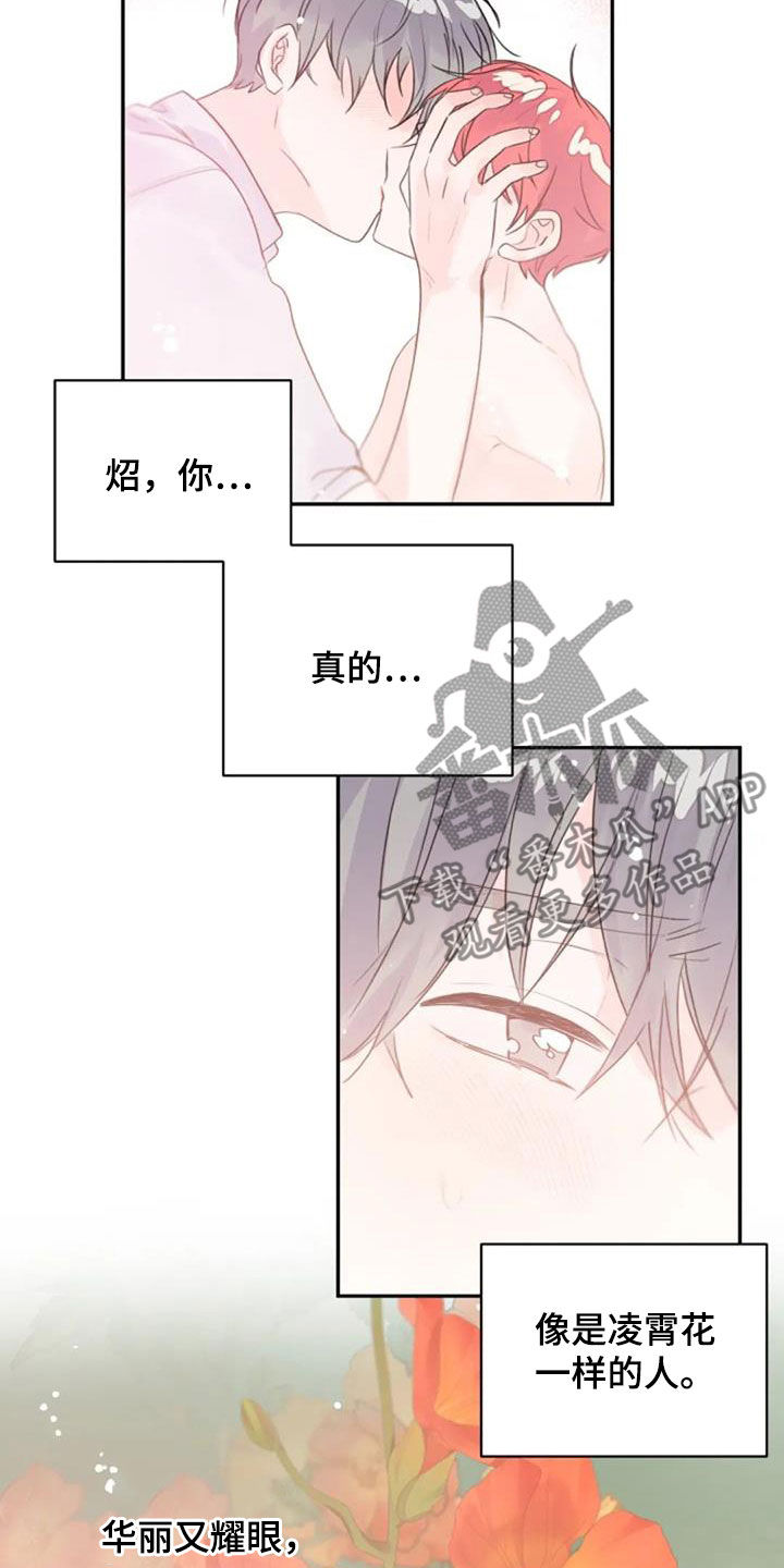 第47章：替代10