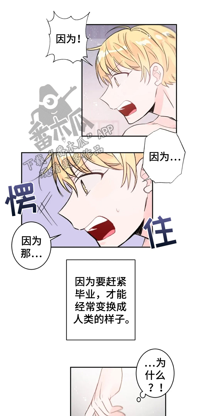 第10章：惊讶0