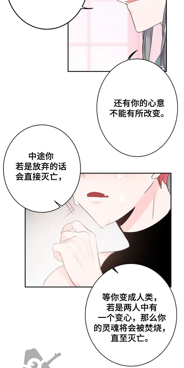 第56章：度过100天2