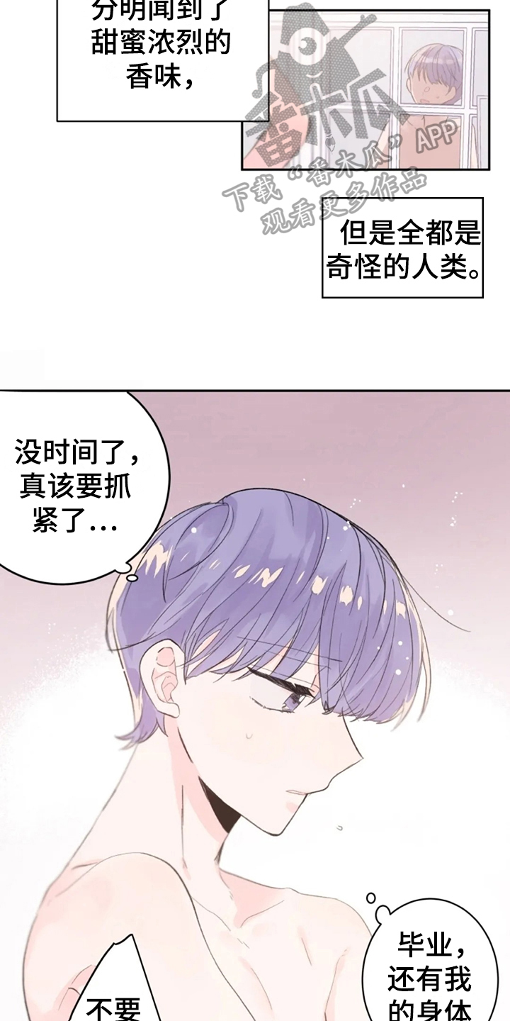 第17章：猎物4