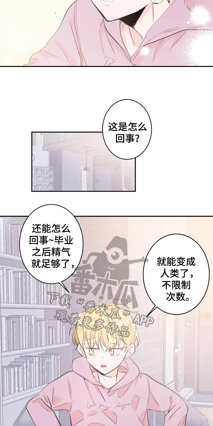 第14章：回来了7