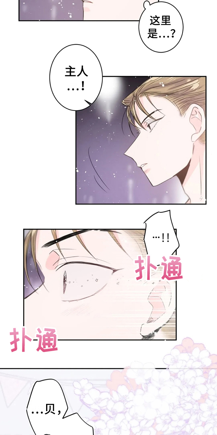 第22章：寻找12