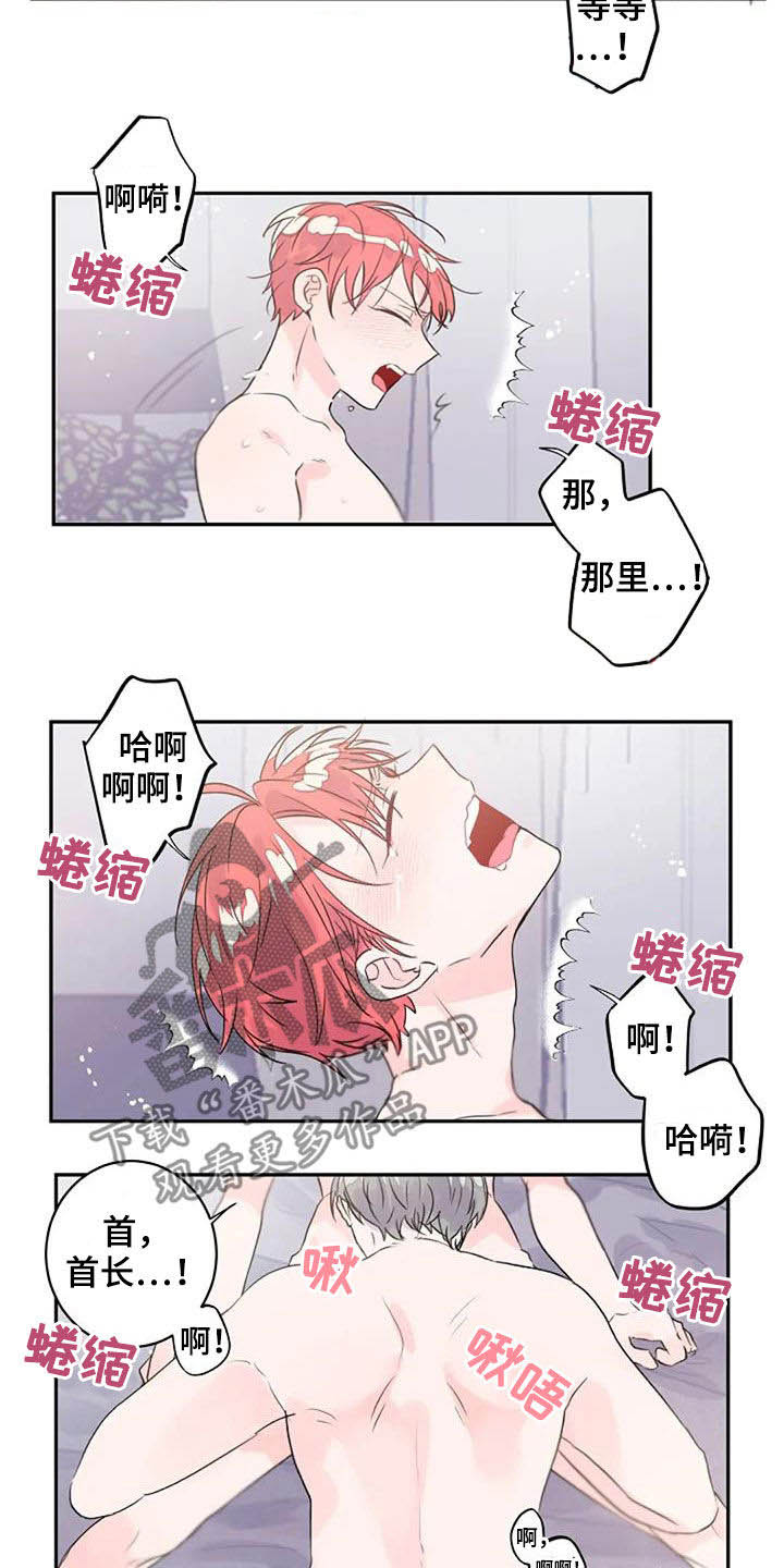第48章：搞不懂1