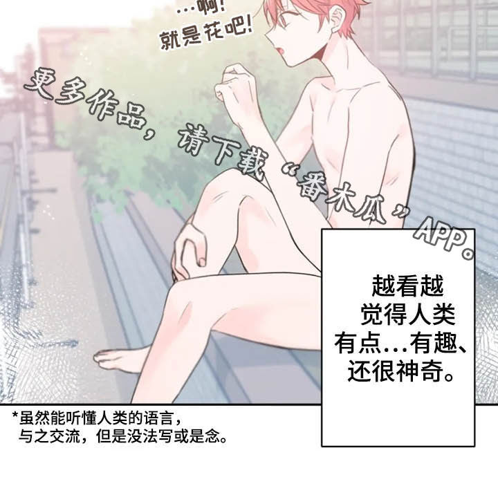 第35章：一定要毕业13