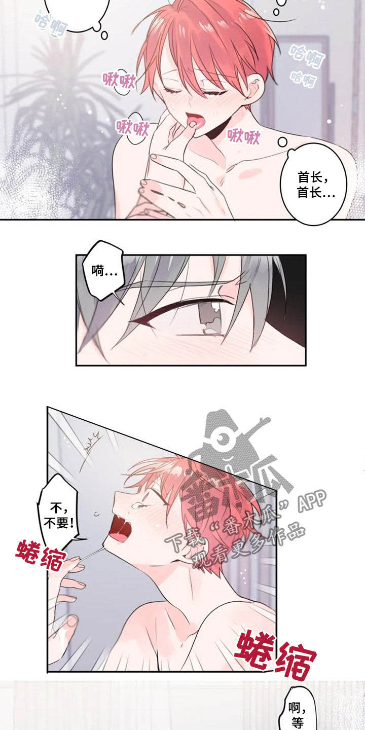 第39章：相像11