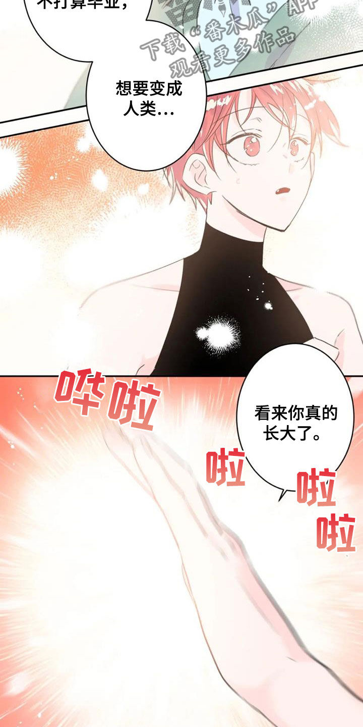 第56章：度过100天6
