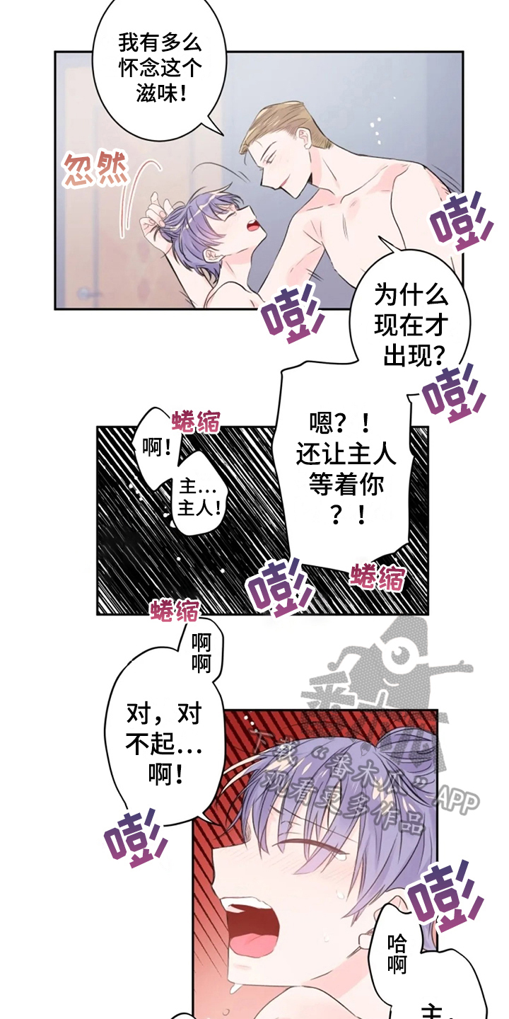 第21章：顺从13