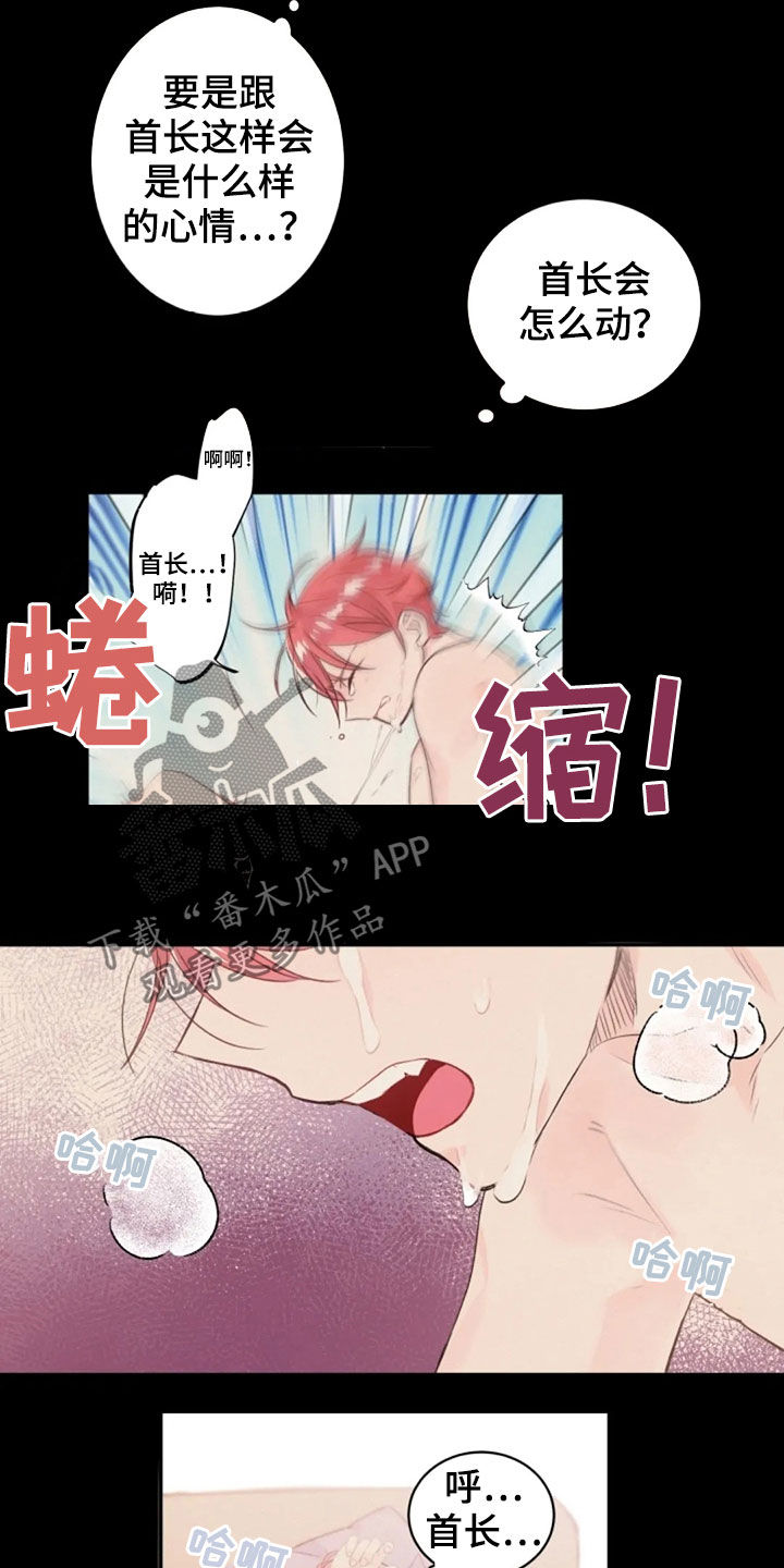 第36章：长得像的人11