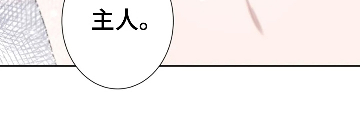 第27章：集中13
