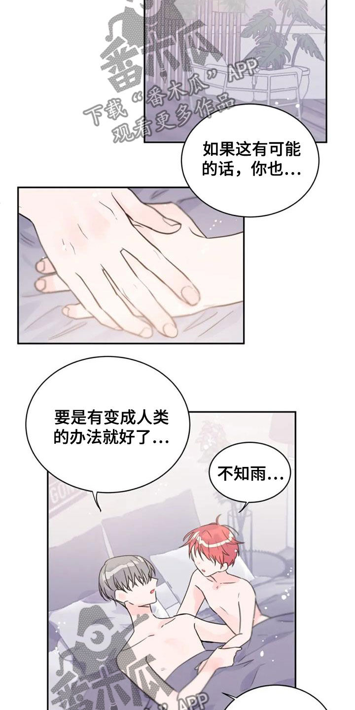 第54章：人类11