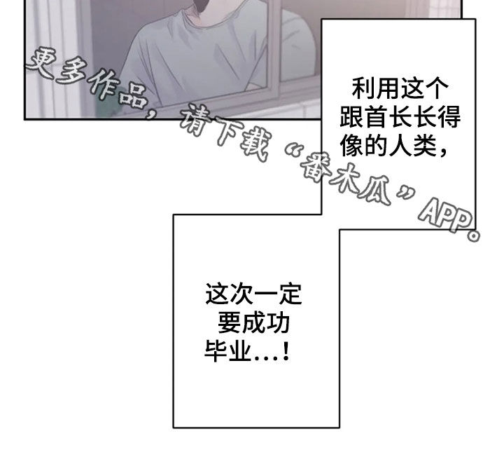 第36章：长得像的人14