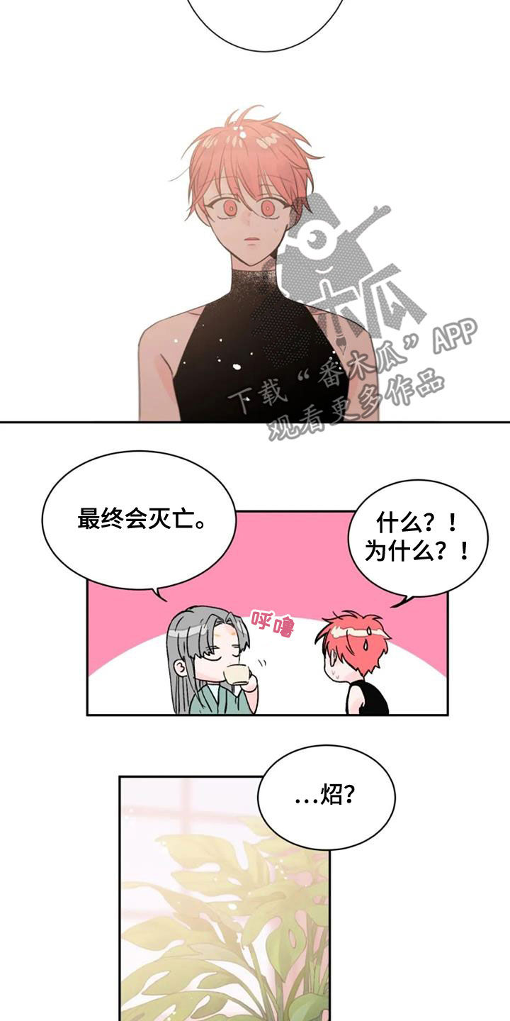 第55章：是爱吗8