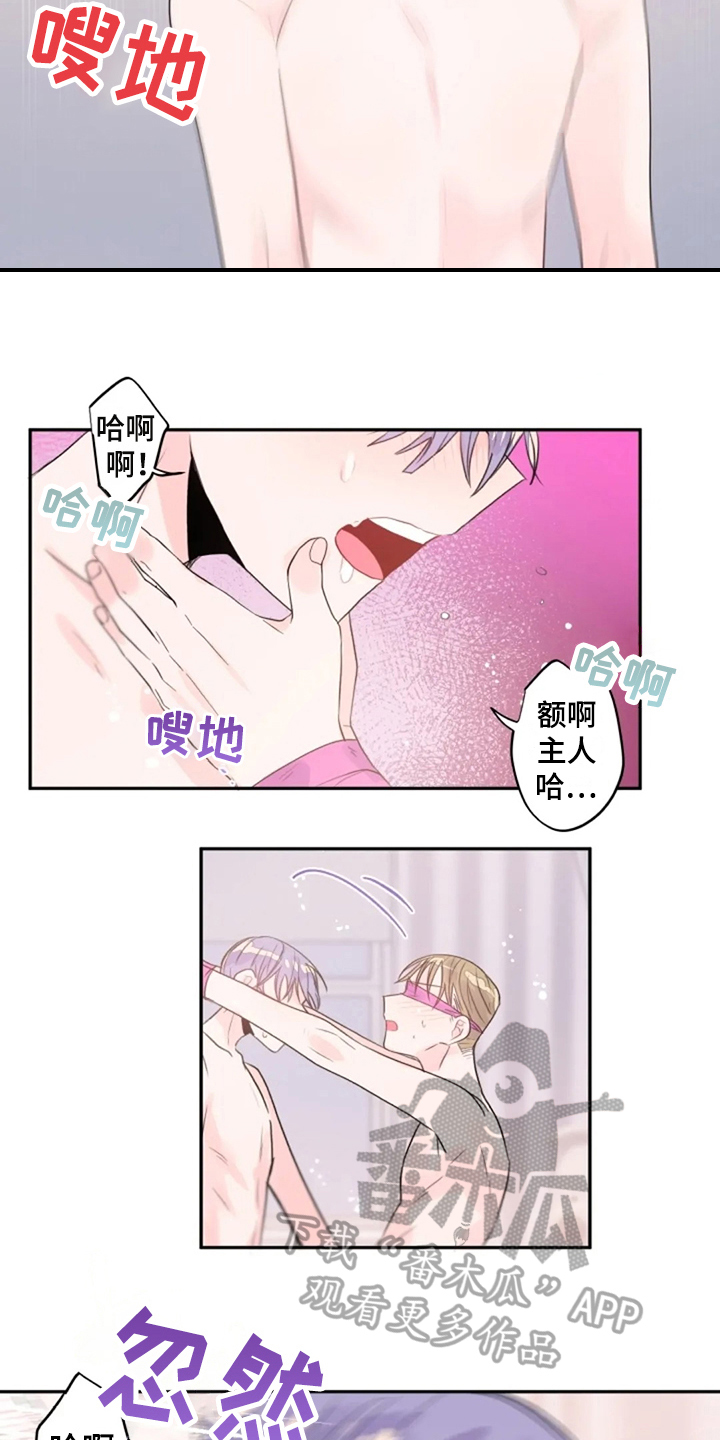 第28章：还不够9