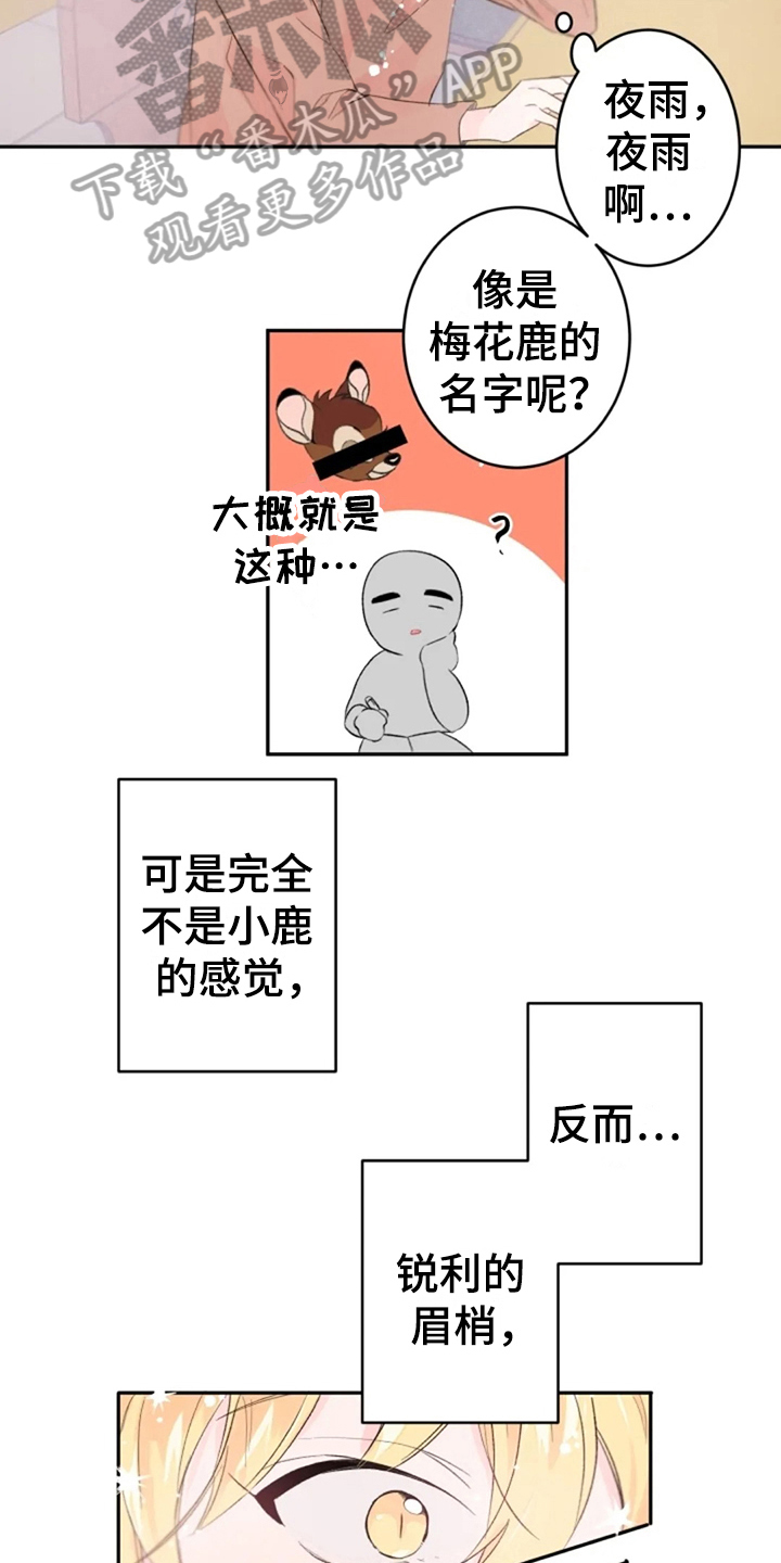 第5章：想念8