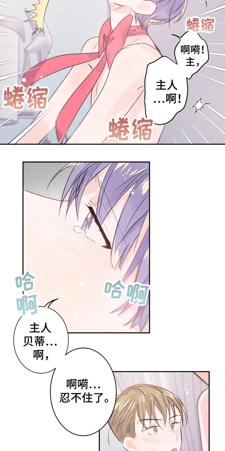 第26章：体验5