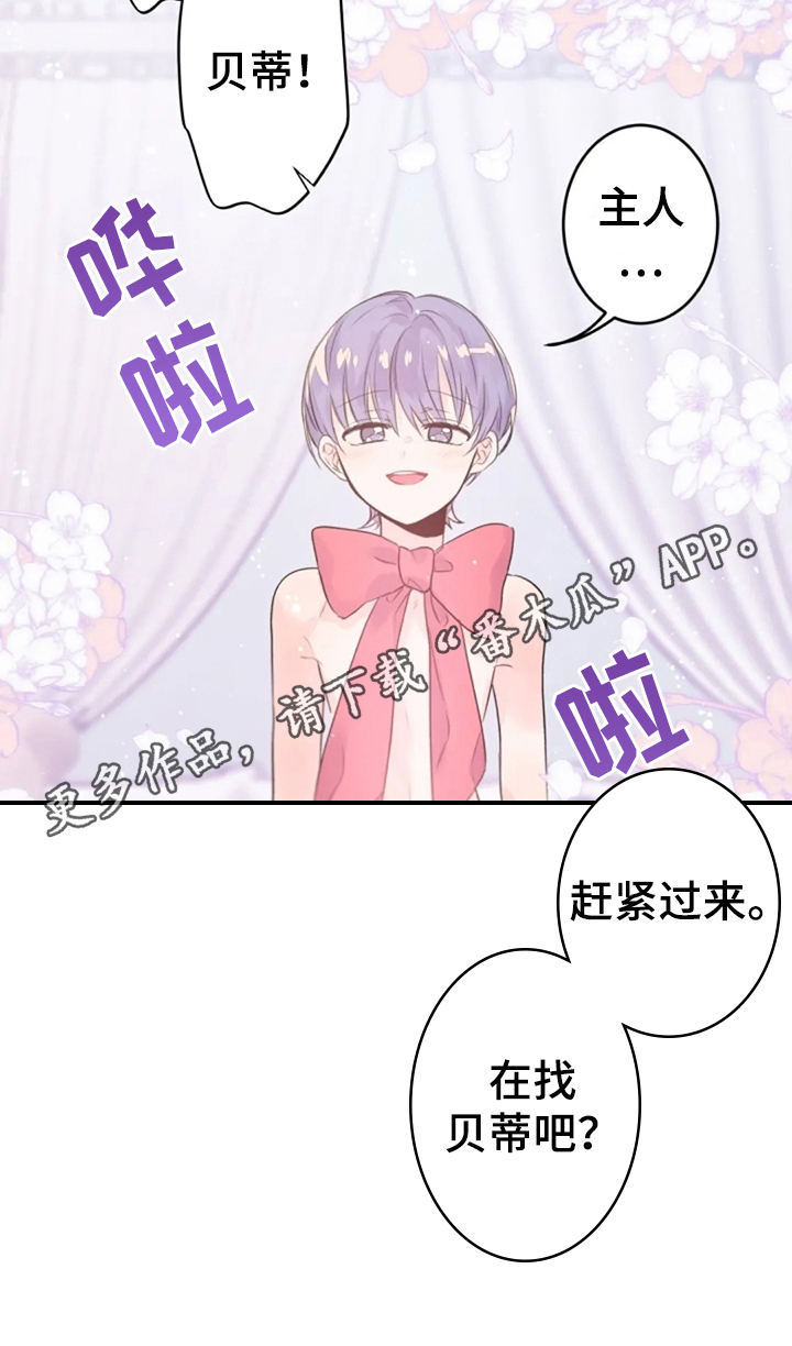 第22章：寻找13