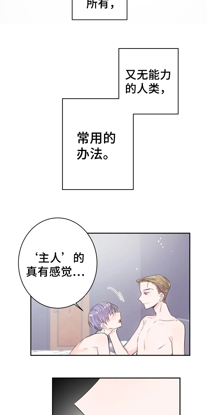 第21章：顺从1
