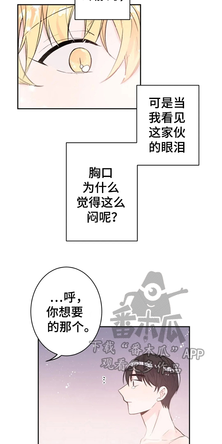 第9章：解释11