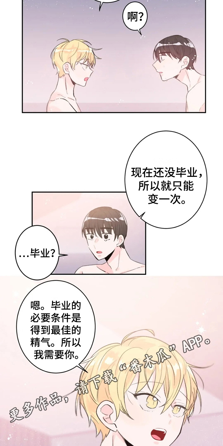 第9章：解释13