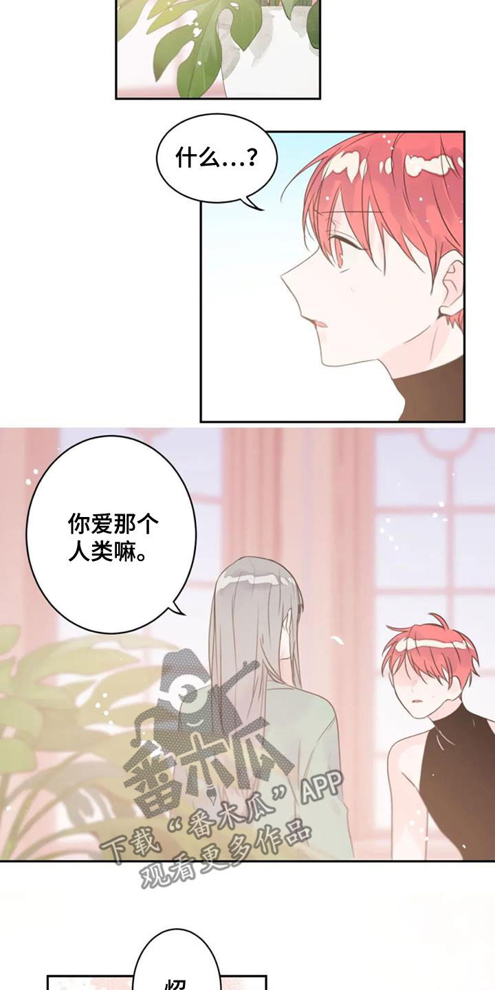 第55章：是爱吗9