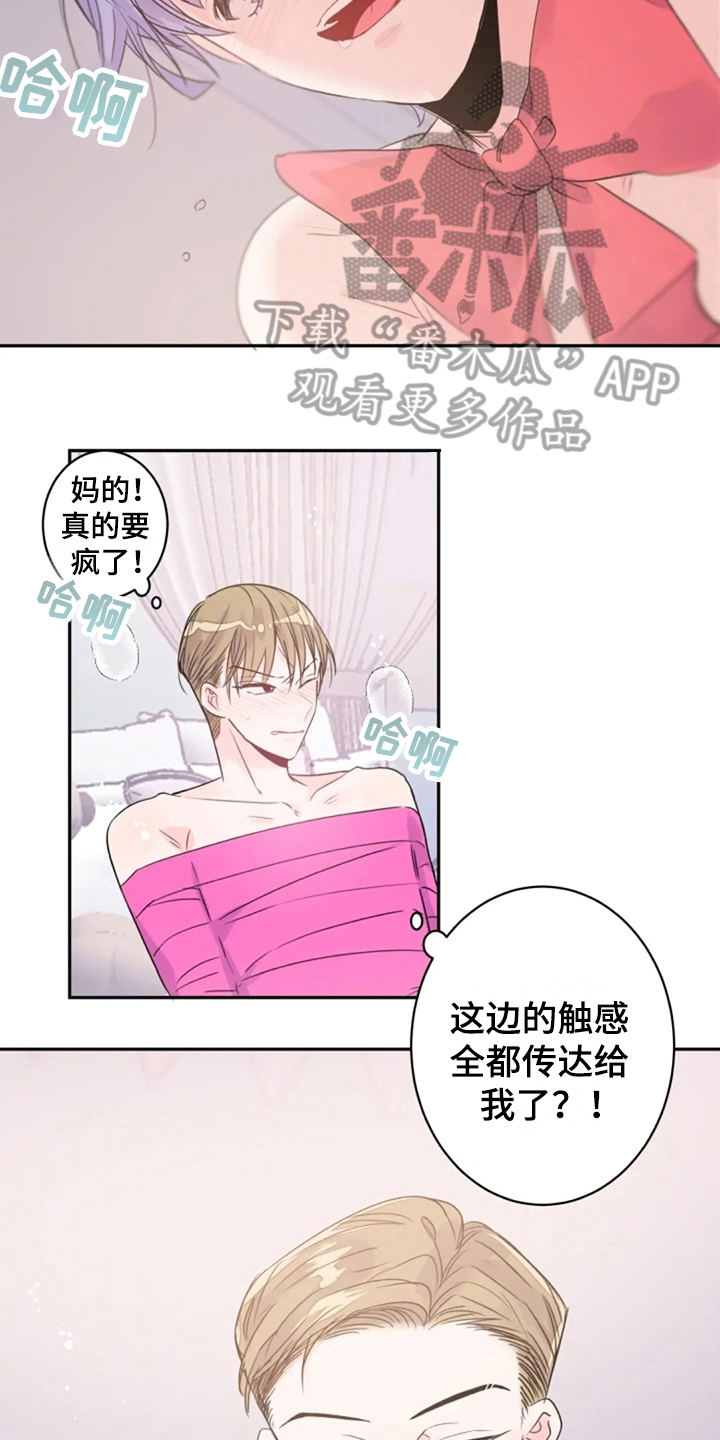 第26章：体验10