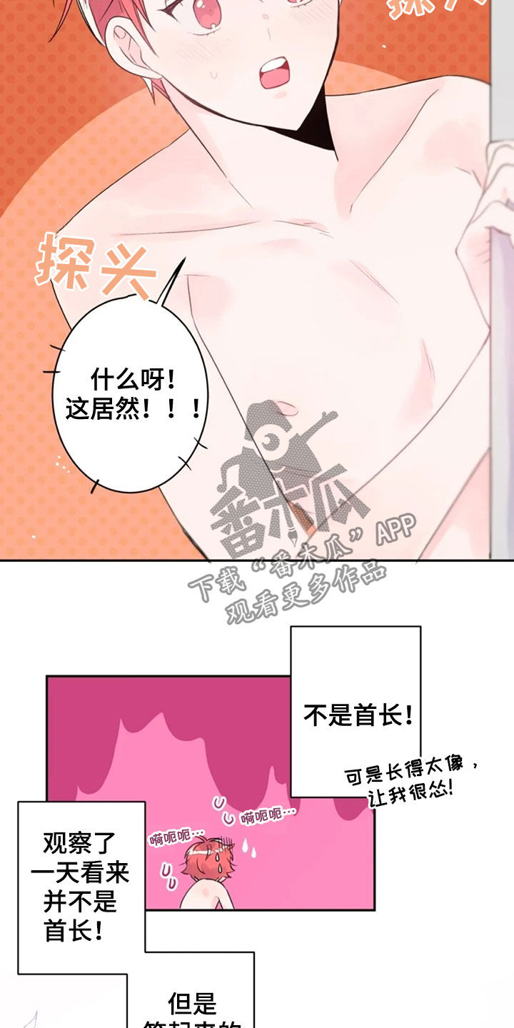 第36章：长得像的人5