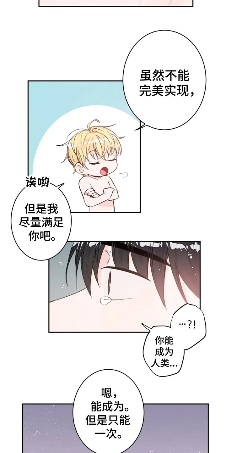 第9章：解释12