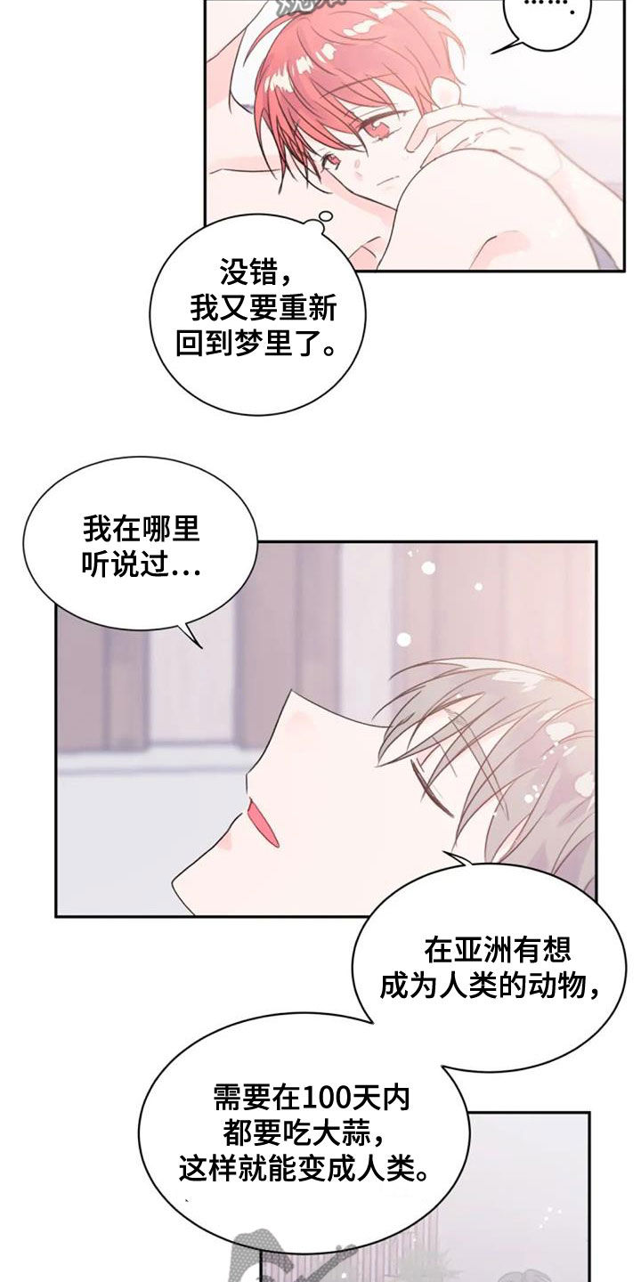 第54章：人类10