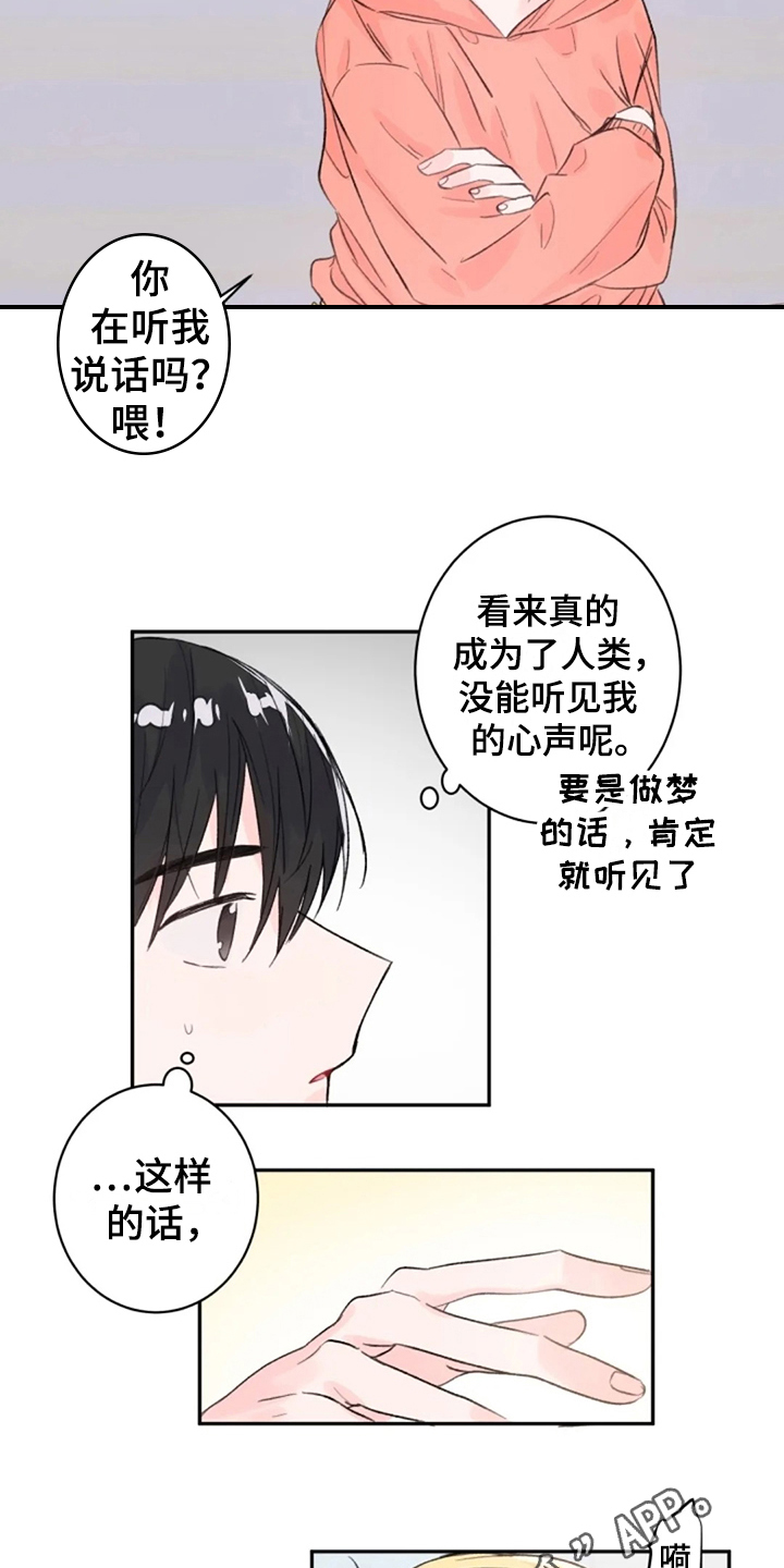 第10章：惊讶12
