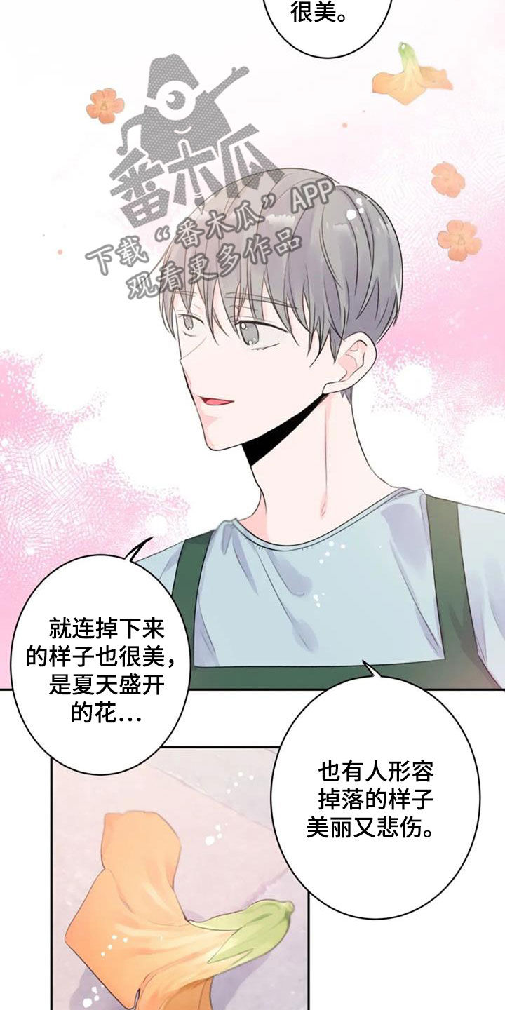 第45章：花语6
