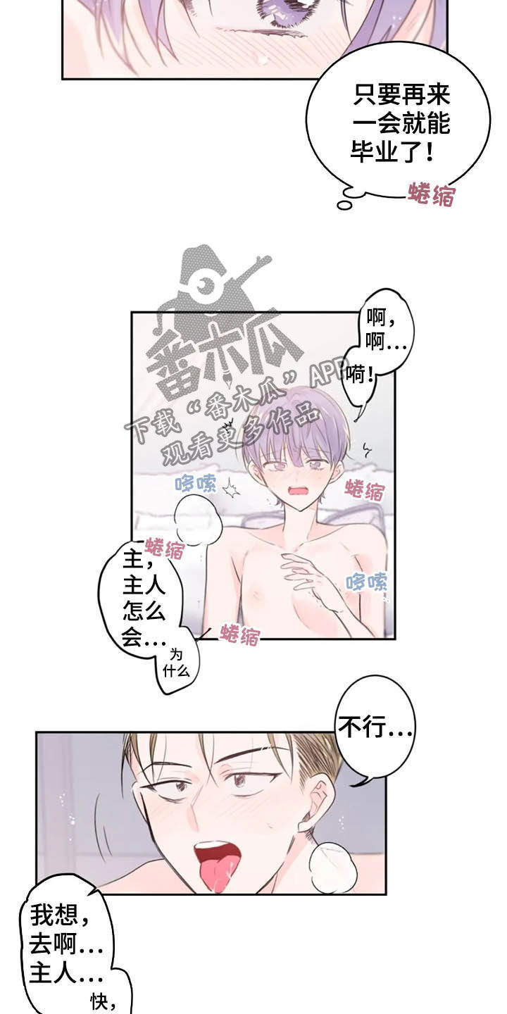 第33章：领悟15