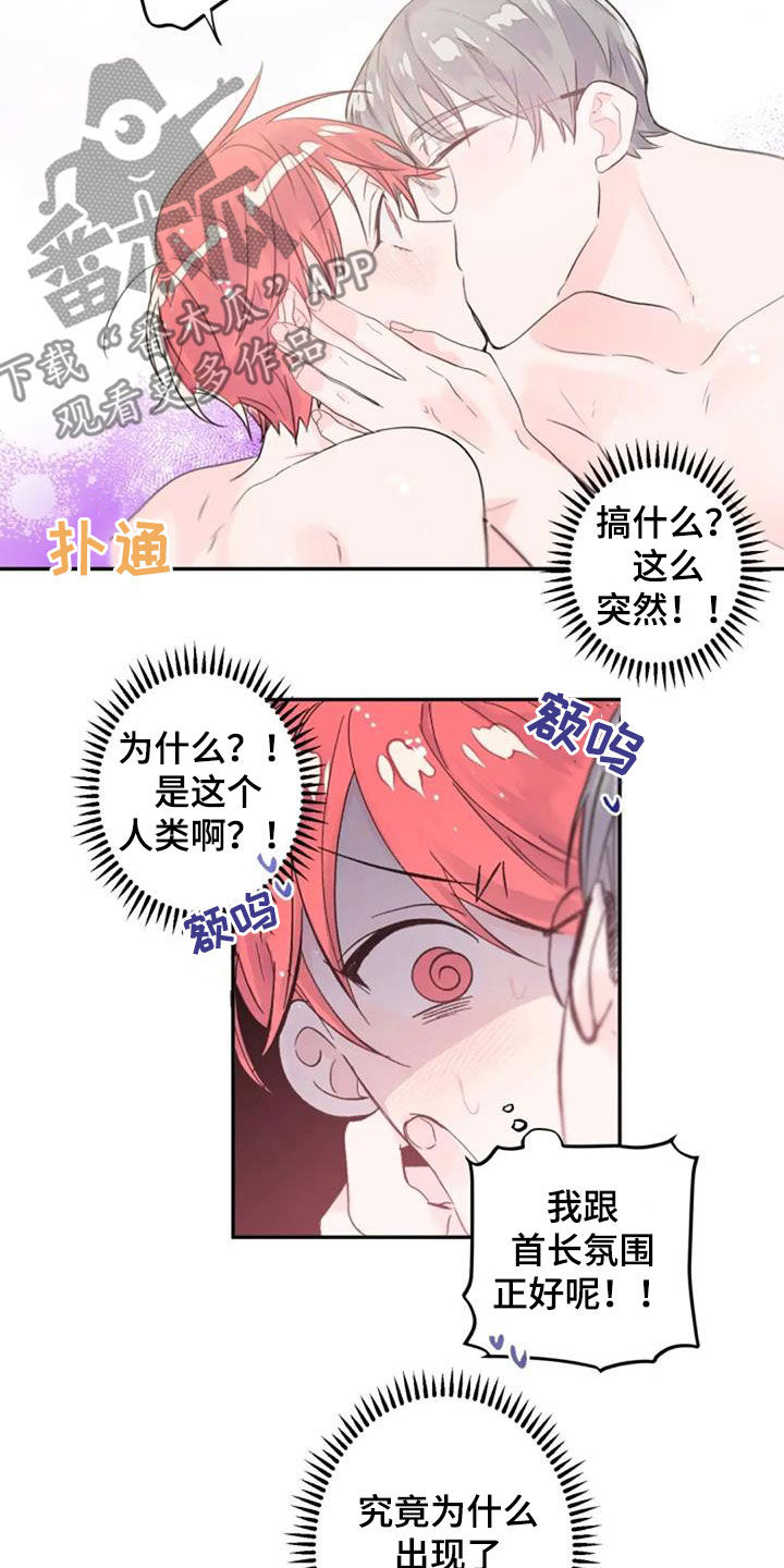第45章：花语3